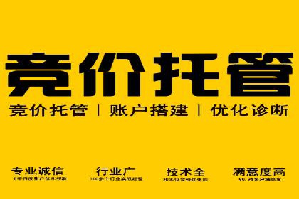 竞价推广成功案例解析